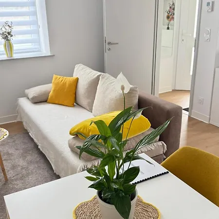 F2 Avec Extérieur Et Entrée Indépendante Saint-Avold