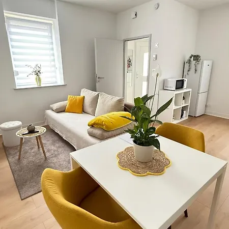 F2 Avec Extérieur Et Entrée Indépendante * Saint-Avold