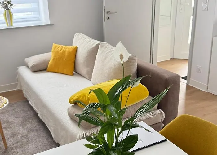 F2 Avec Exterieur Et Entree Independante Saint-Avold