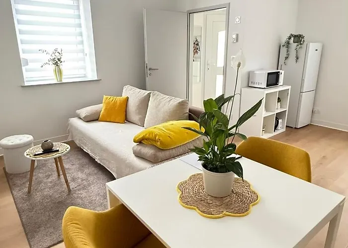 F2 Avec Exterieur Et Entree Independante * Saint-Avold